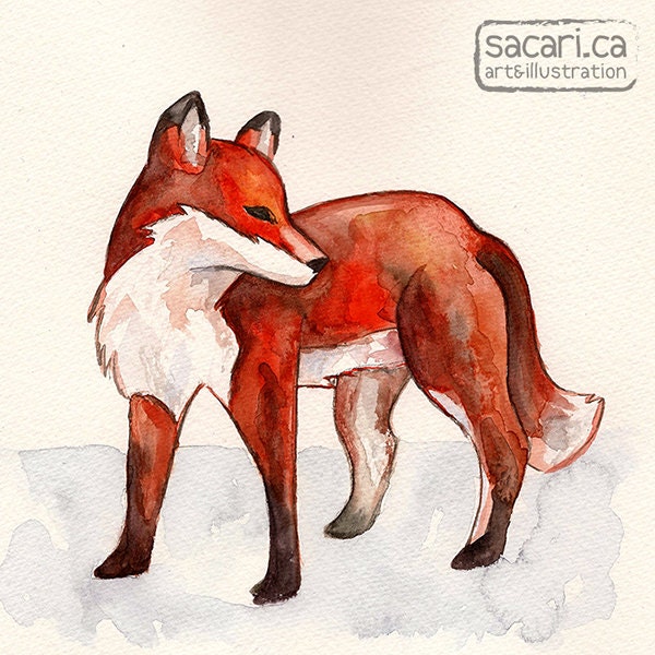 Red Fox Watercolor - 6"x6" Matte Archival Square Print