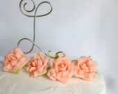 Initial Letter Cake Topper, Wedding Decor, Custom Made, All Letters