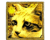 Green Cat  Brooch  Gold leaf on wooden tile. One of a kind cat jewellery