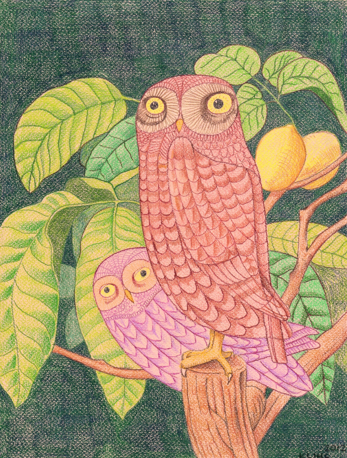 Two Owls. Colored Pencil on Paper. 9.5" x 12.5". Original Drawing.