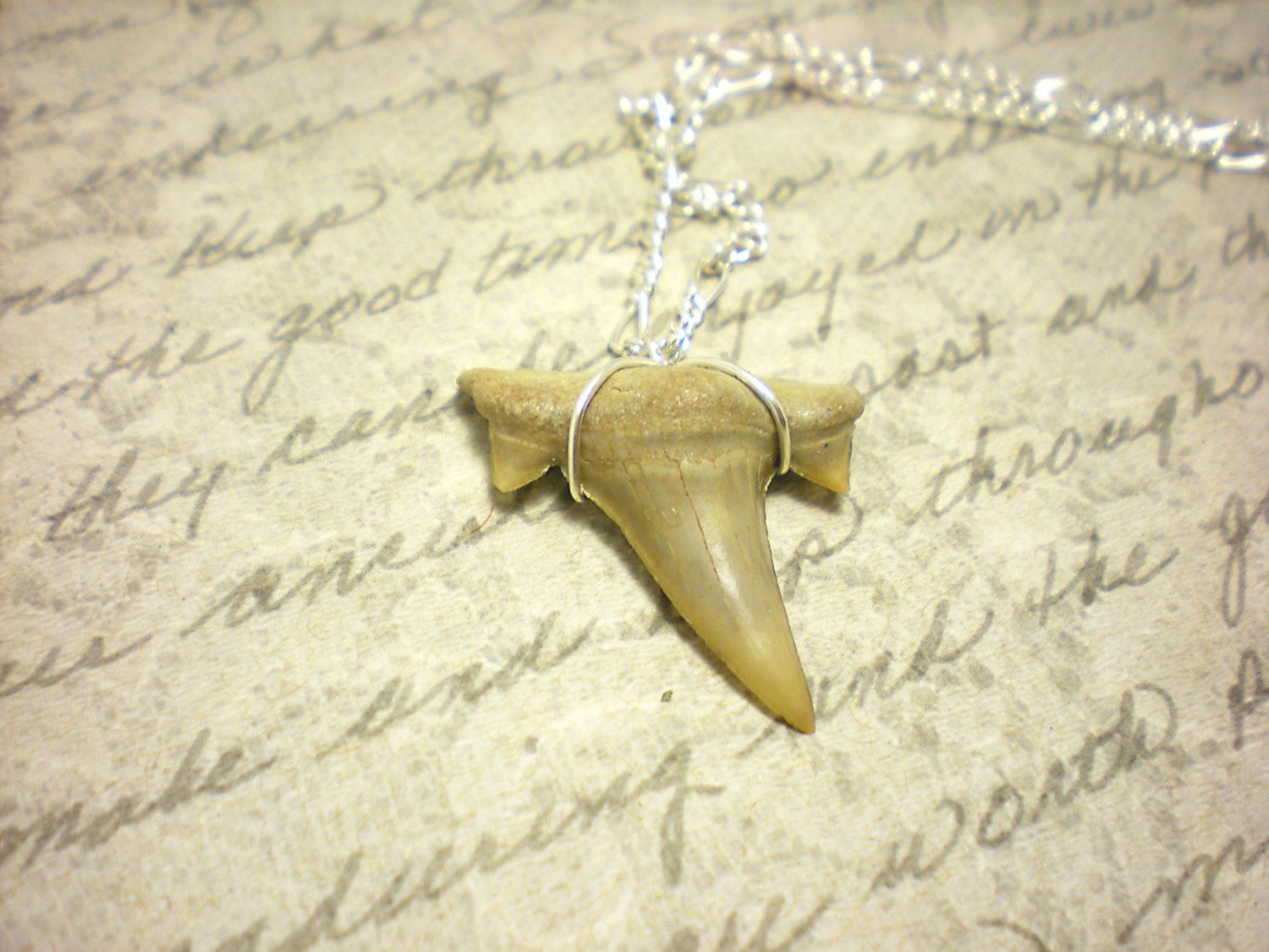 The Mandy- Fossil Shark Tooth in Sterling Silver Necklace