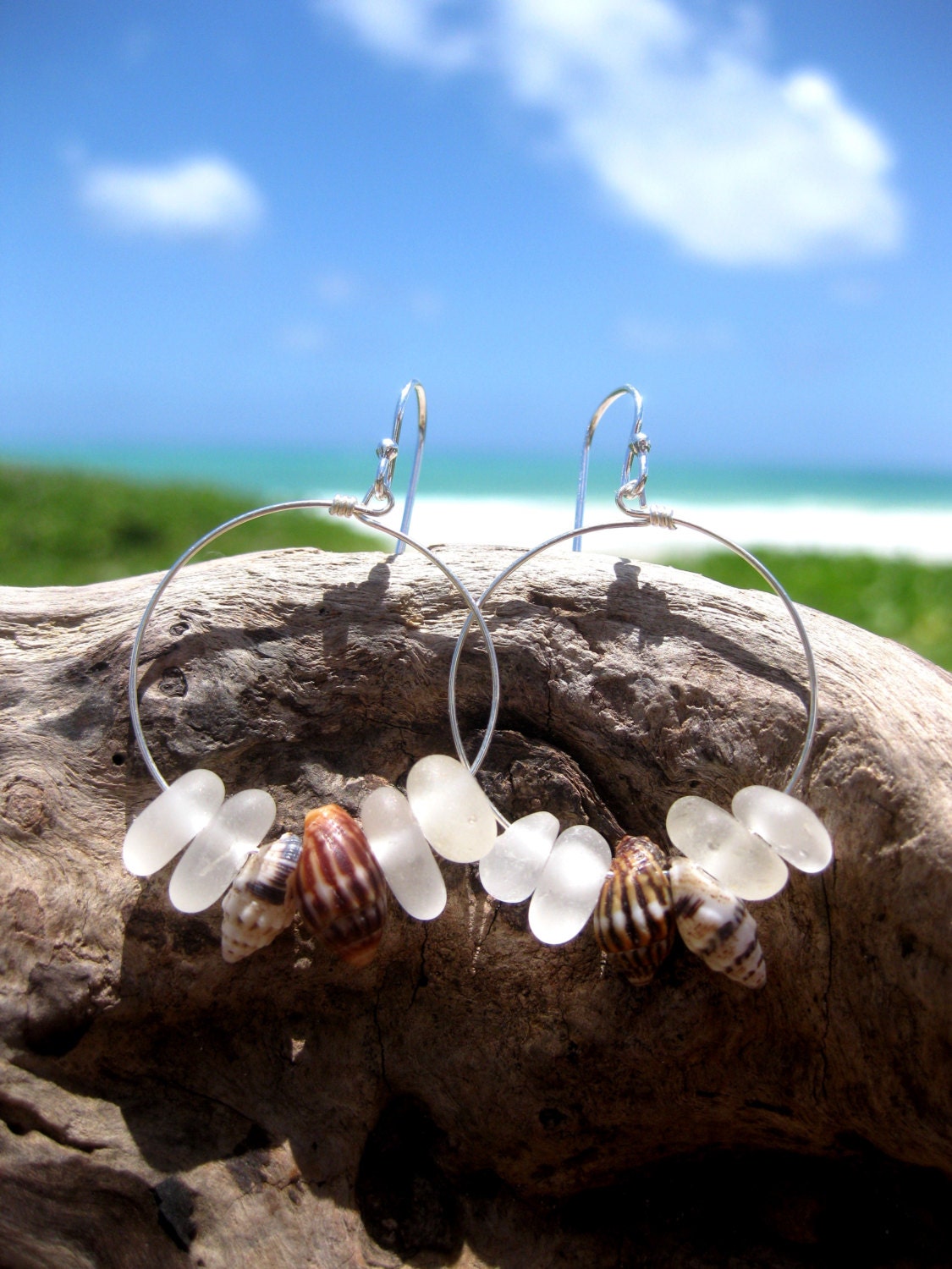 Hawaiian Clear Beach Glass Surrounding 2 Pairs Matching Small Hawaiian Tidal Shells on 925 Sterling Silver Circular Wire Small Hoop Earrings