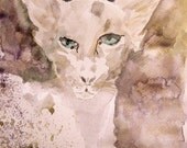 Art Watercolor - Print Original  Painting 8x11 Animal Cat  Spring Home Decor Illustration brown beige purple blue