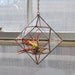 NEW Zephyrus Terrarium, limited edition -- for air plant terrarium or small succulent -- stained glass -- terrarium supplies -- eco friendly