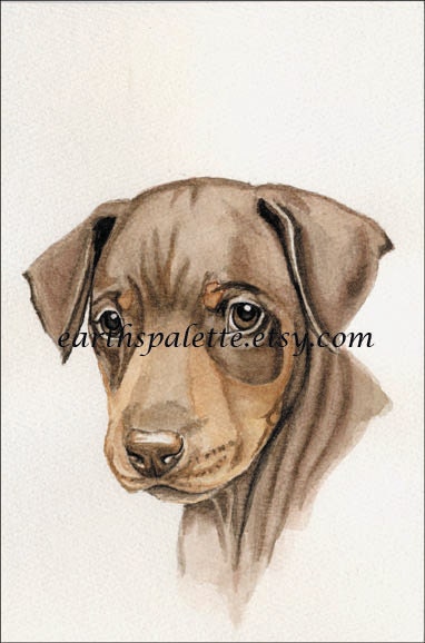 Doberman puppy dog painting 5x7 print from original watercolor painting dog pet portraits home decor dogs earthspalette