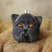British blue cat, hand felted purse for cosmetics, Iphone, or money