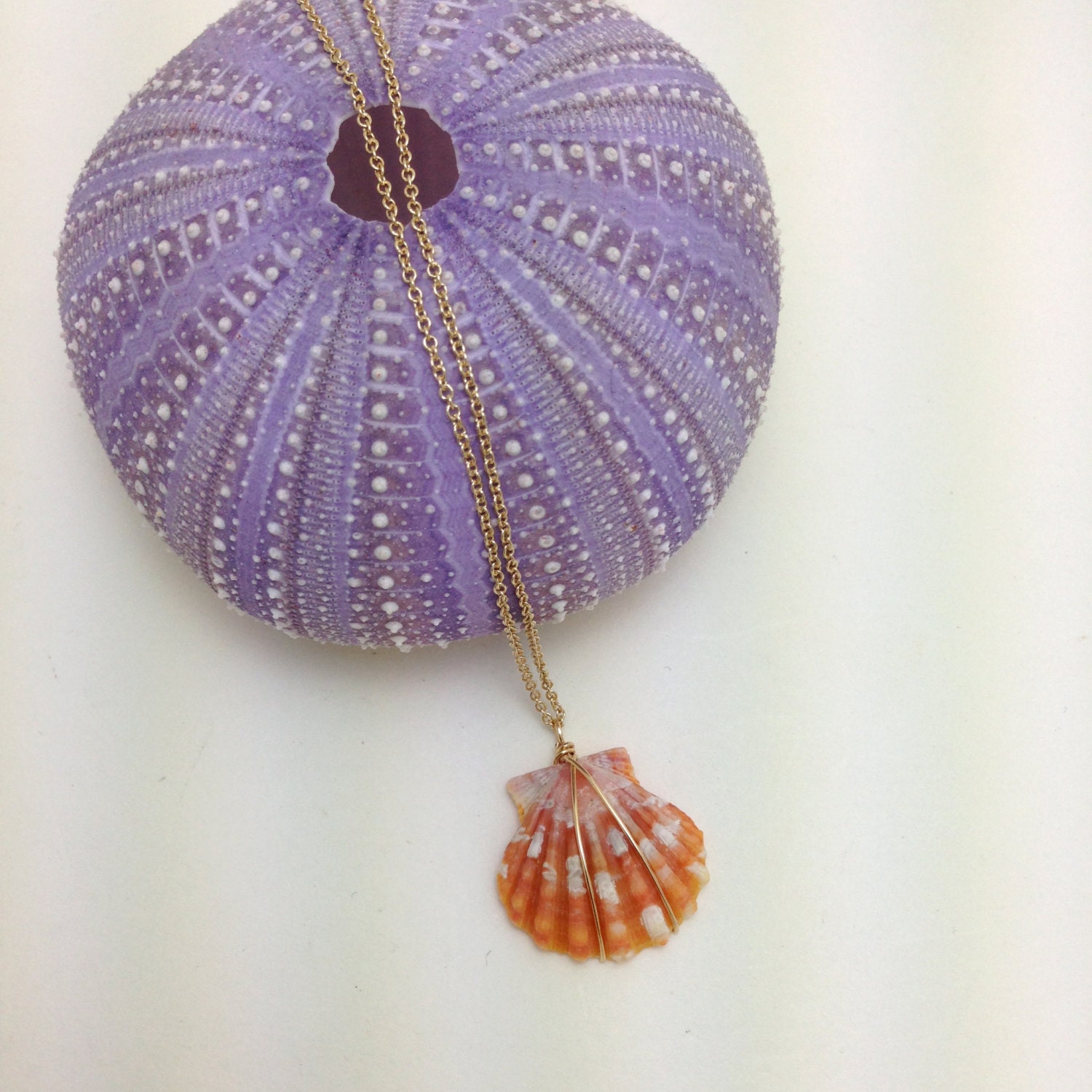 Sunrise Shell 14kt Gold Necklace