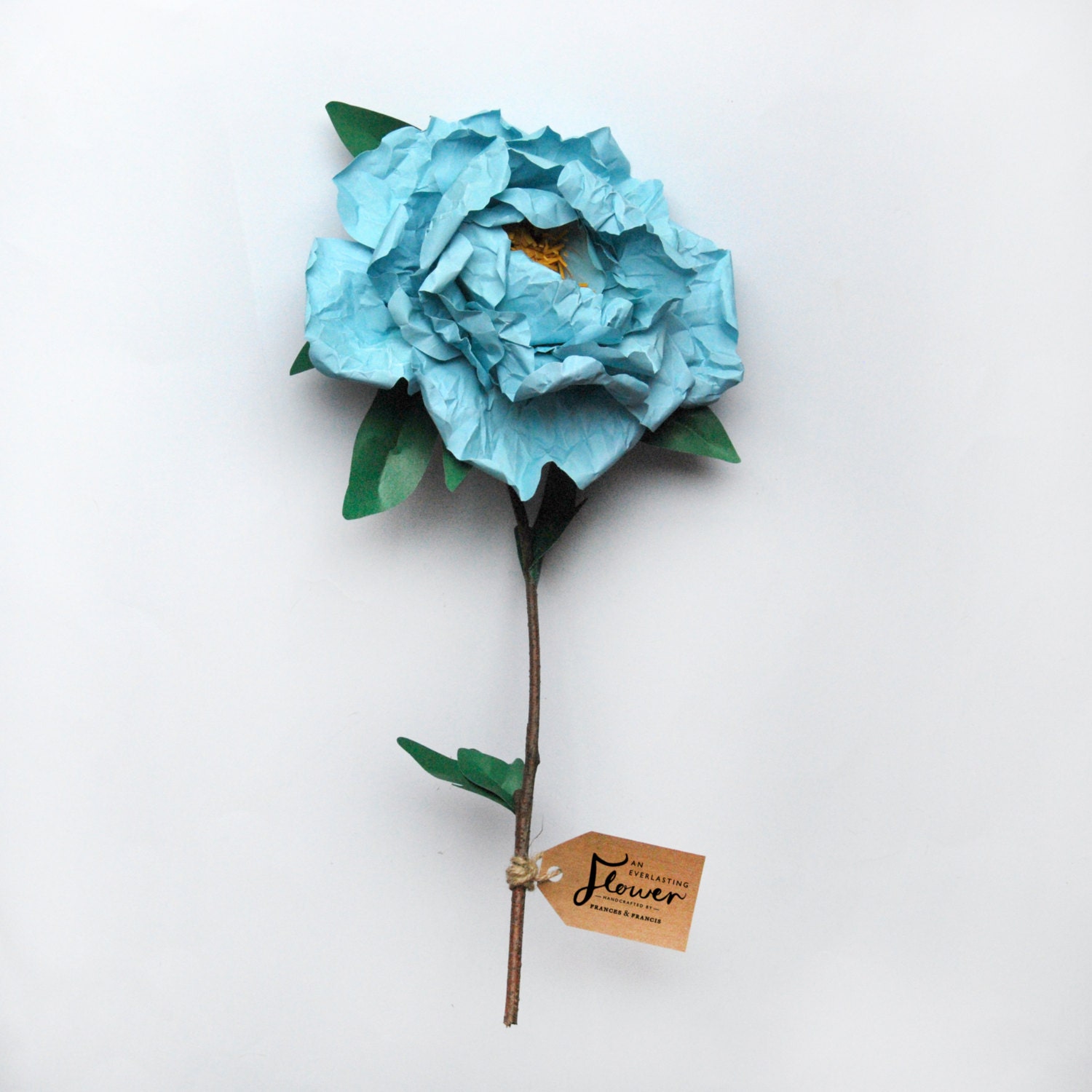 An Everlasting Open Peony