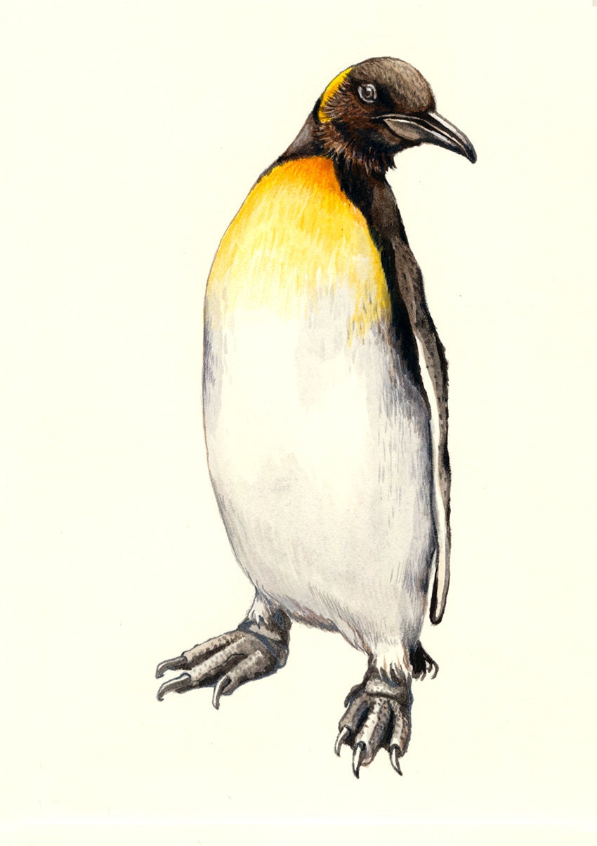Emperor Penguin - original watercolour wildlife study