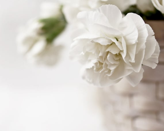 White Carnations Flowers, Signed Print, Cottage Chic, Minimalist Decor, White, Green, Cream, Color Fine Art Photography, 8x10 Wall Print
