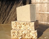 Moisturizing and Exfoliating Cinnamon Oatmeal Soap