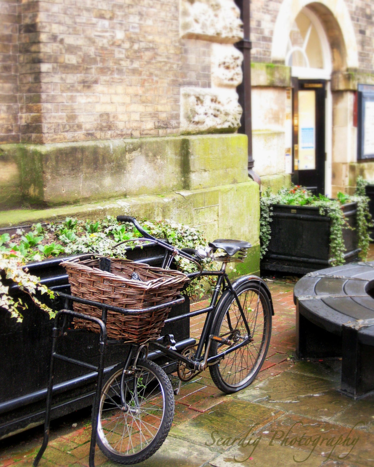 Salisbury. England. Bicycle. Wall Decor. Photograph. Bike. Ivy. Green. Door. Basket. 8x10. Travel Photography. English. Countryside