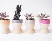 Mini Planters set of 4, Peach, Grey, Purple and Taupe, Natural Wedding, Spring Decor