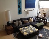 Jake's Storage Ottoman / Coffee Table