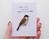 Hand- drawn House Sparrow, bird brooch.