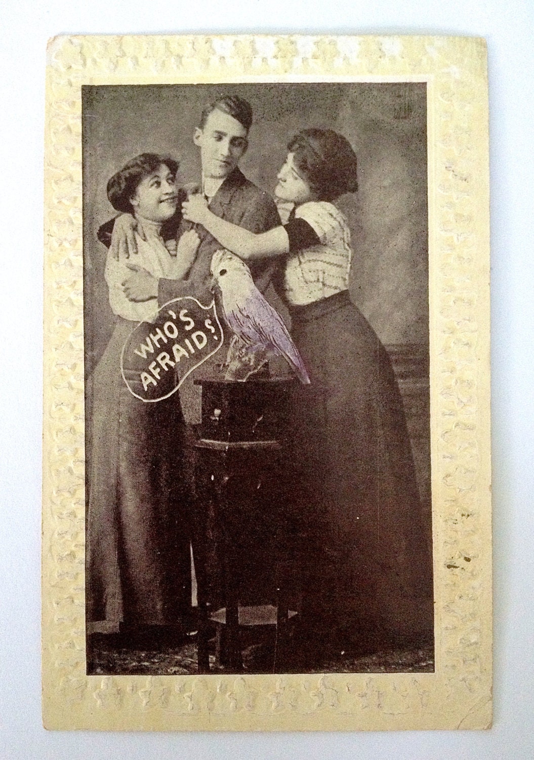 1910s Weird Parrot Threesome Vintage Postcard