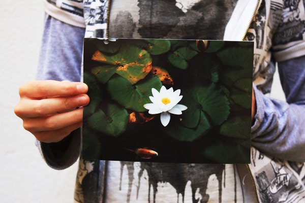 Nature Photography 5x7 Fine Art Print - Water Lily Among Pads, Waterlily Print, Botanic Garden Pond Photo - Dark Green Decor