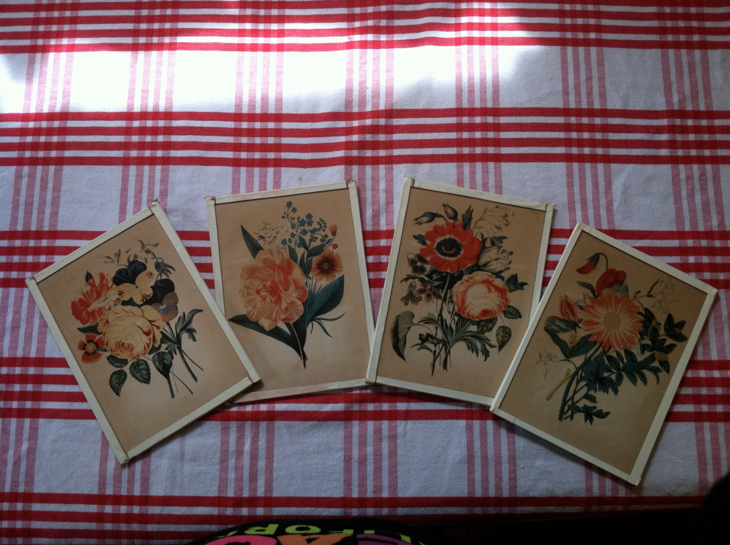 Set of 4 Vintage Floral Botanical Prints Home Decor Shabby Chic Cottage Roses Peonies 1940s Original Framed Flower Print 5x7, Set of 4