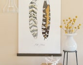 Vintage Inspired Science Posters - FEATHER PATTERNS VOL. 1