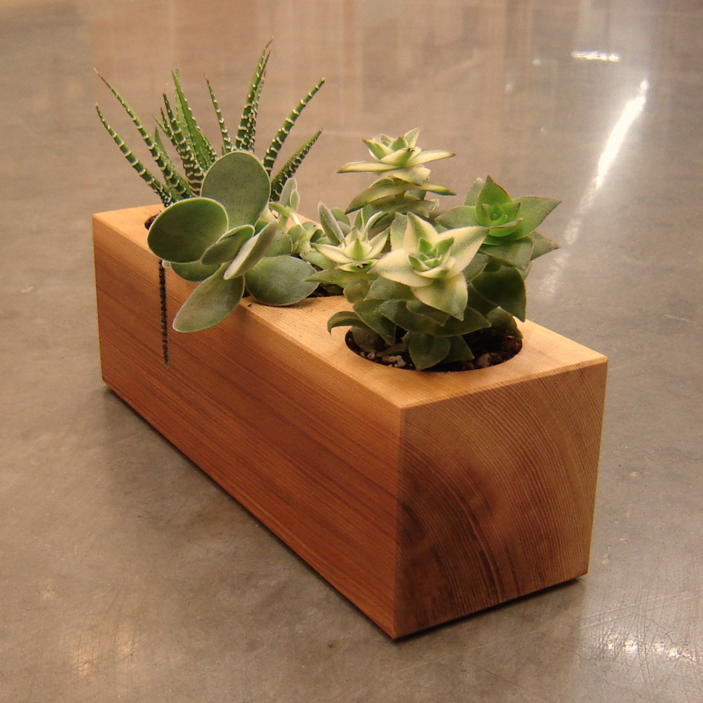 Wood Succulent Planter in Recycled Cedar