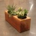 Wood Succulent Planter in Recycled Cedar