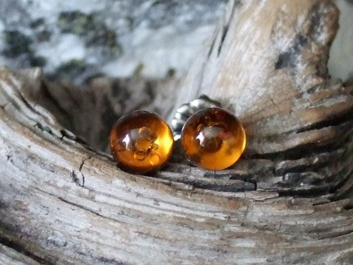 Baltic Amber 6mm Ear Studs Stud Earrings Earings Titanium Posts and Clutches Hypo Allergenic Made in Newfoundland Energy No Bugs