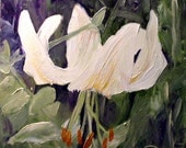 Oil Painting Botanical Garden Woodland Flower White Lily by Laurie Rohner