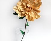 An Everlasting Dahlia Flower