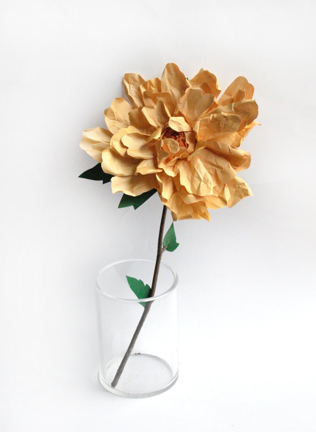 An Everlasting Dahlia Flower
