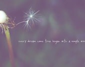 Dandelion Dreams and Wishes Quote Signed Photograph, Nature Photo, Color Fine Art Photography, 8x10 Wall Print