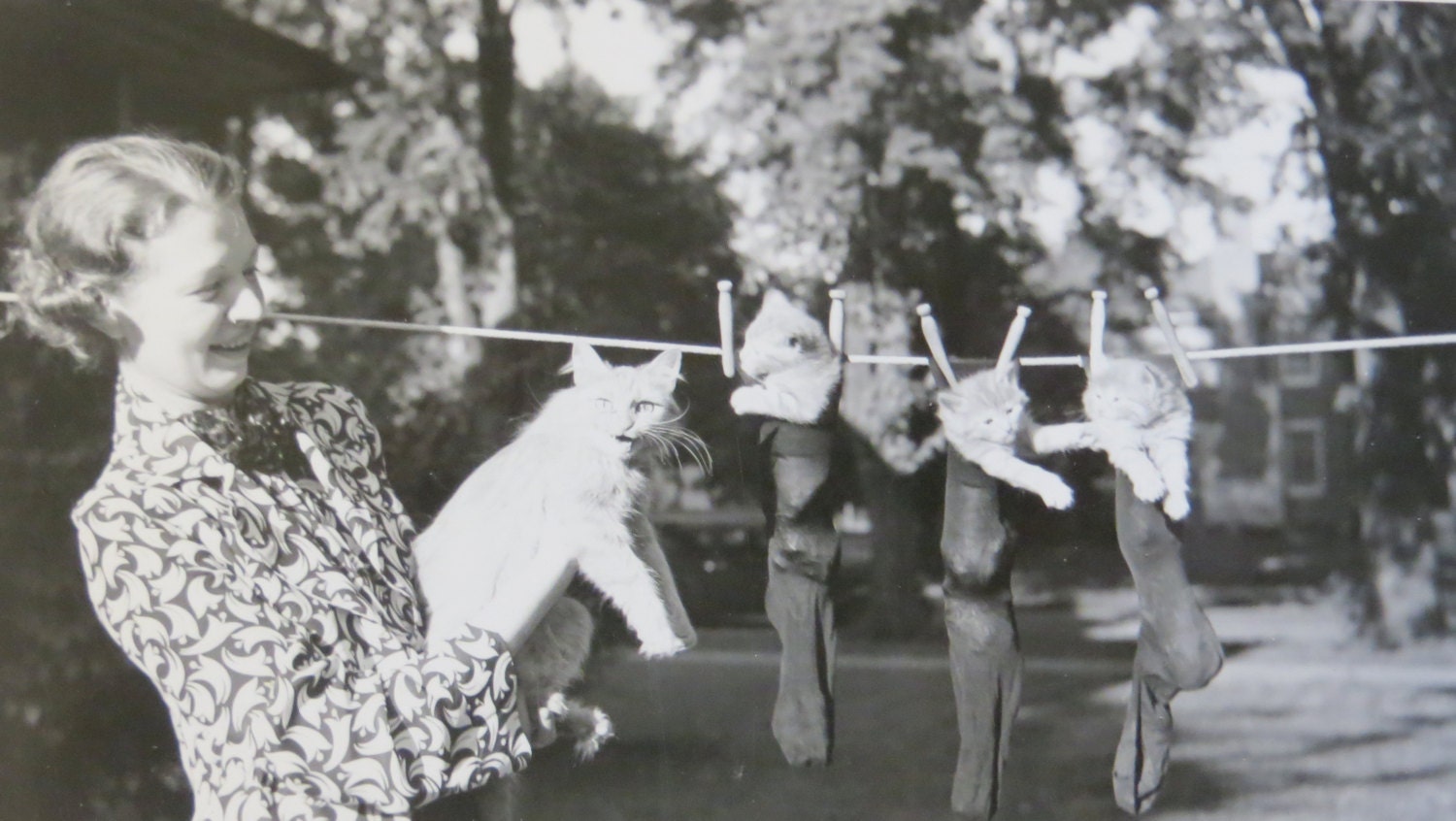 Vintage 1930's Three Kittens On The Clothes Line And Momma's Not Happy Snapshot Photograph - InteriorVintage