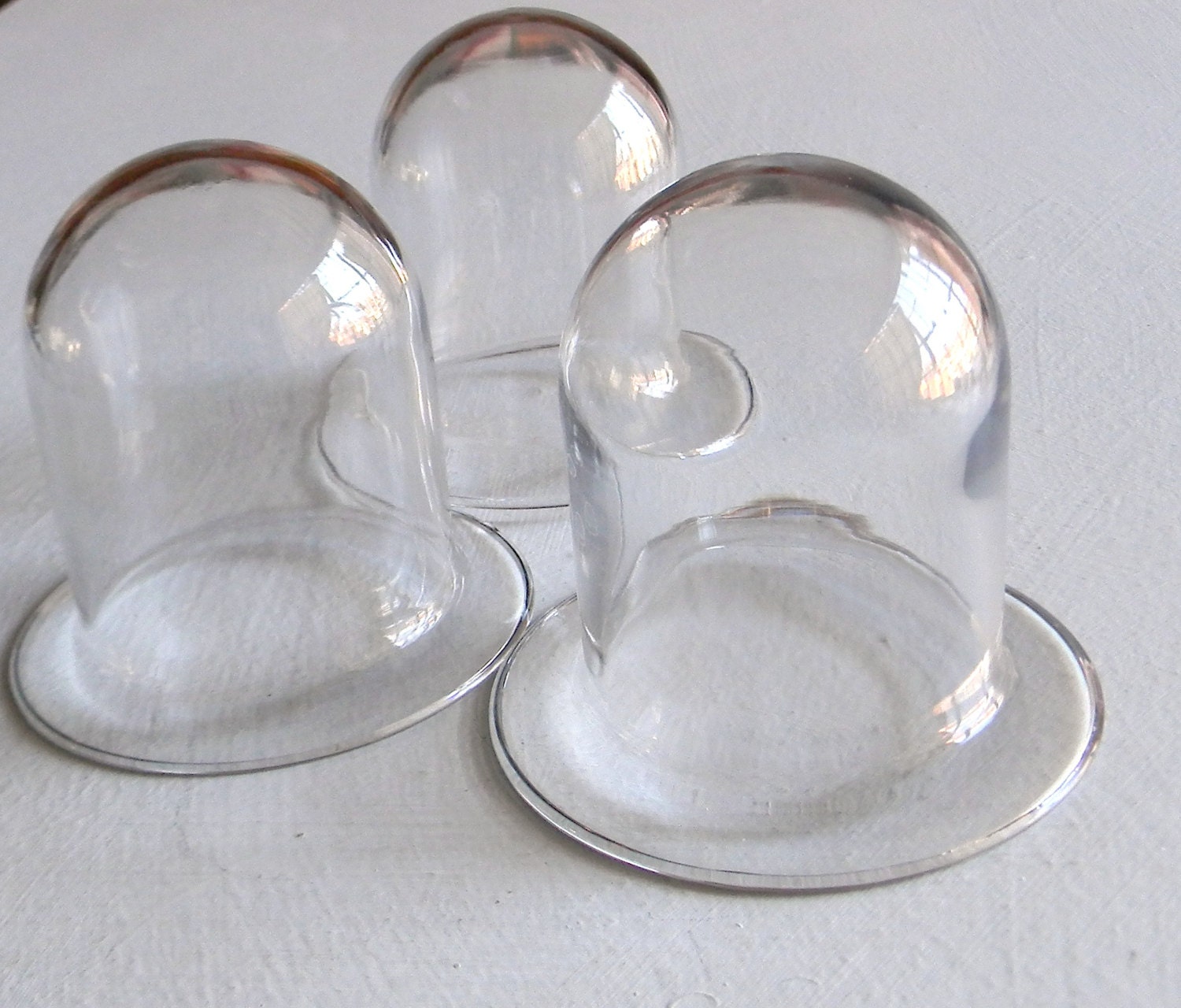 Three Small Glass Clock Domes for Terrariums Plants by Vivavivant