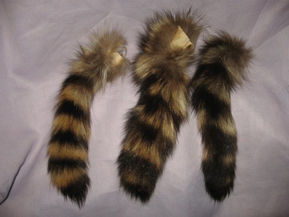 The Popularity Of Brown Hair With Raccoon Tails