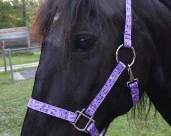 Horse Halter Purple Paisley Cowgirl Paisley