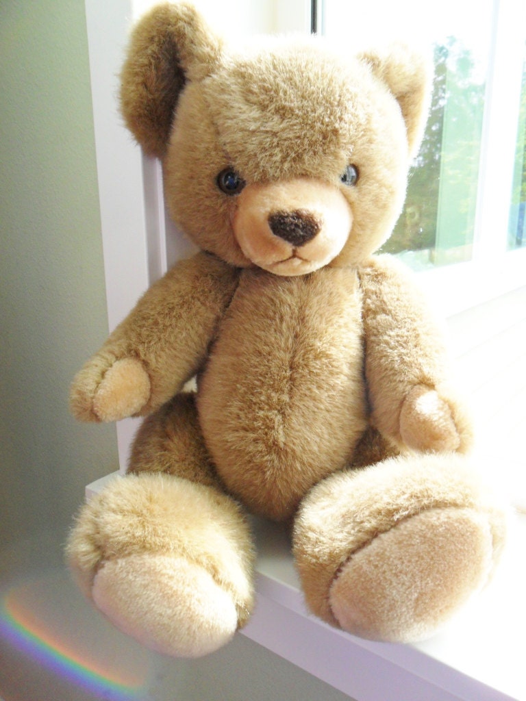 teddy bear with plastic face