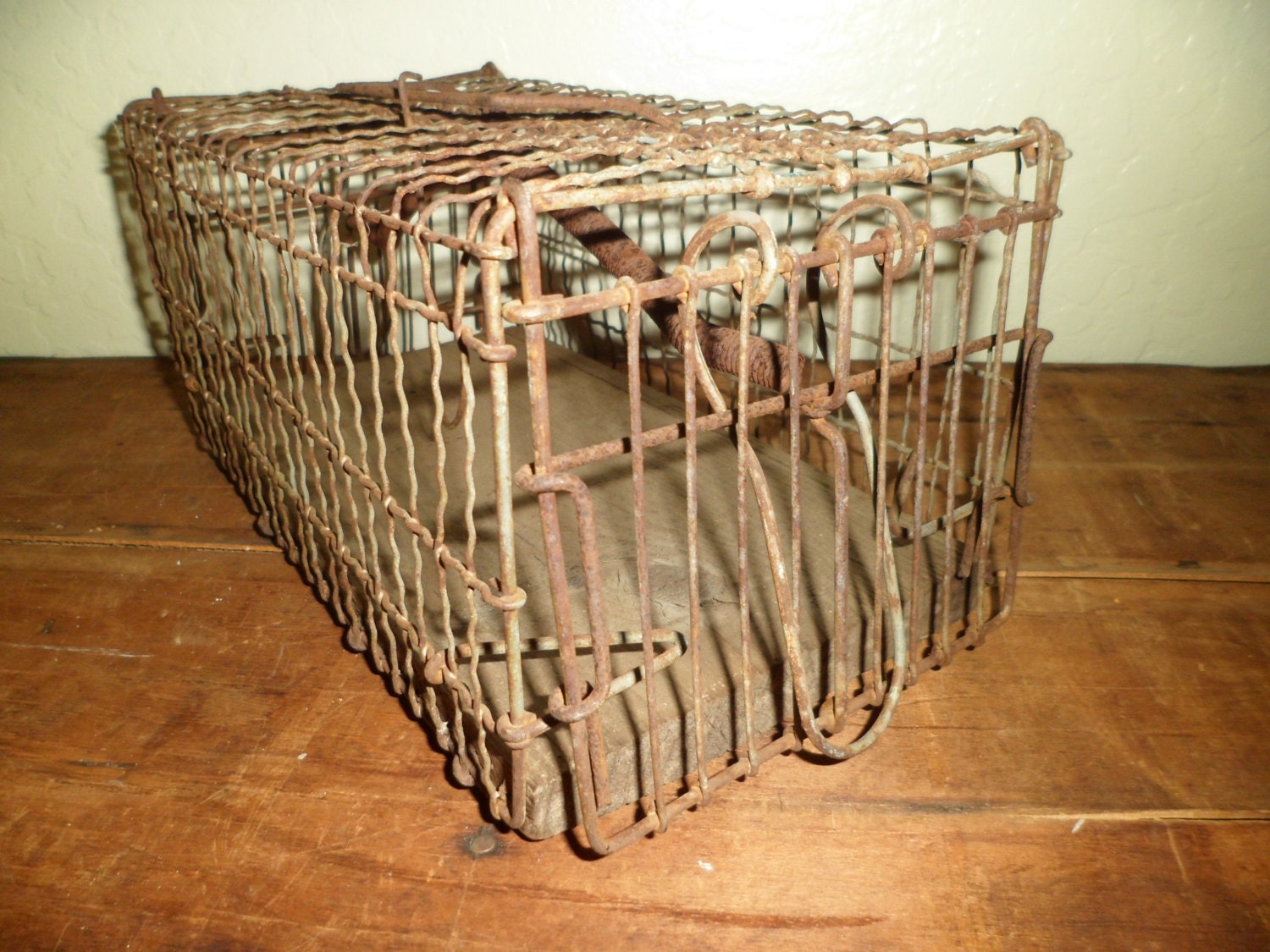 antique wire animal trap no kill animal trap by thelongacreflea