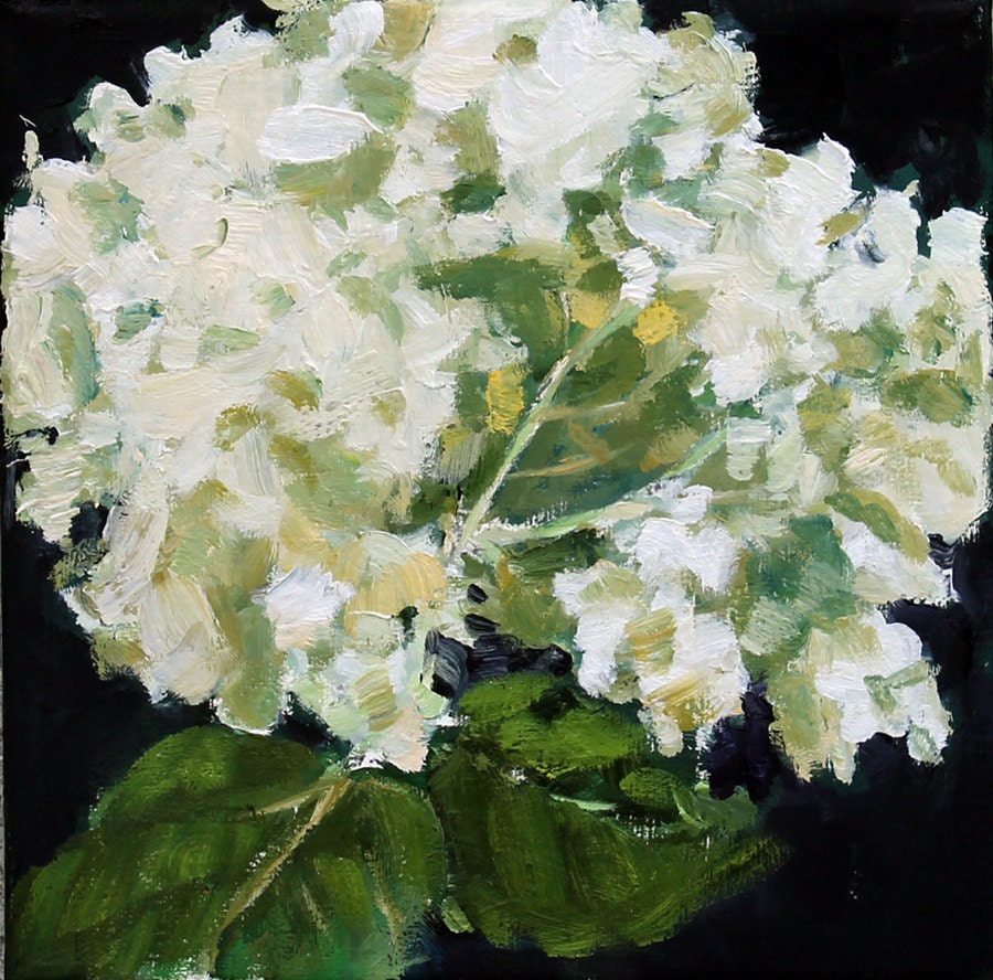 White Hydrangea Still Life Painting, Oil on canvas, 8x8 inch fine art 