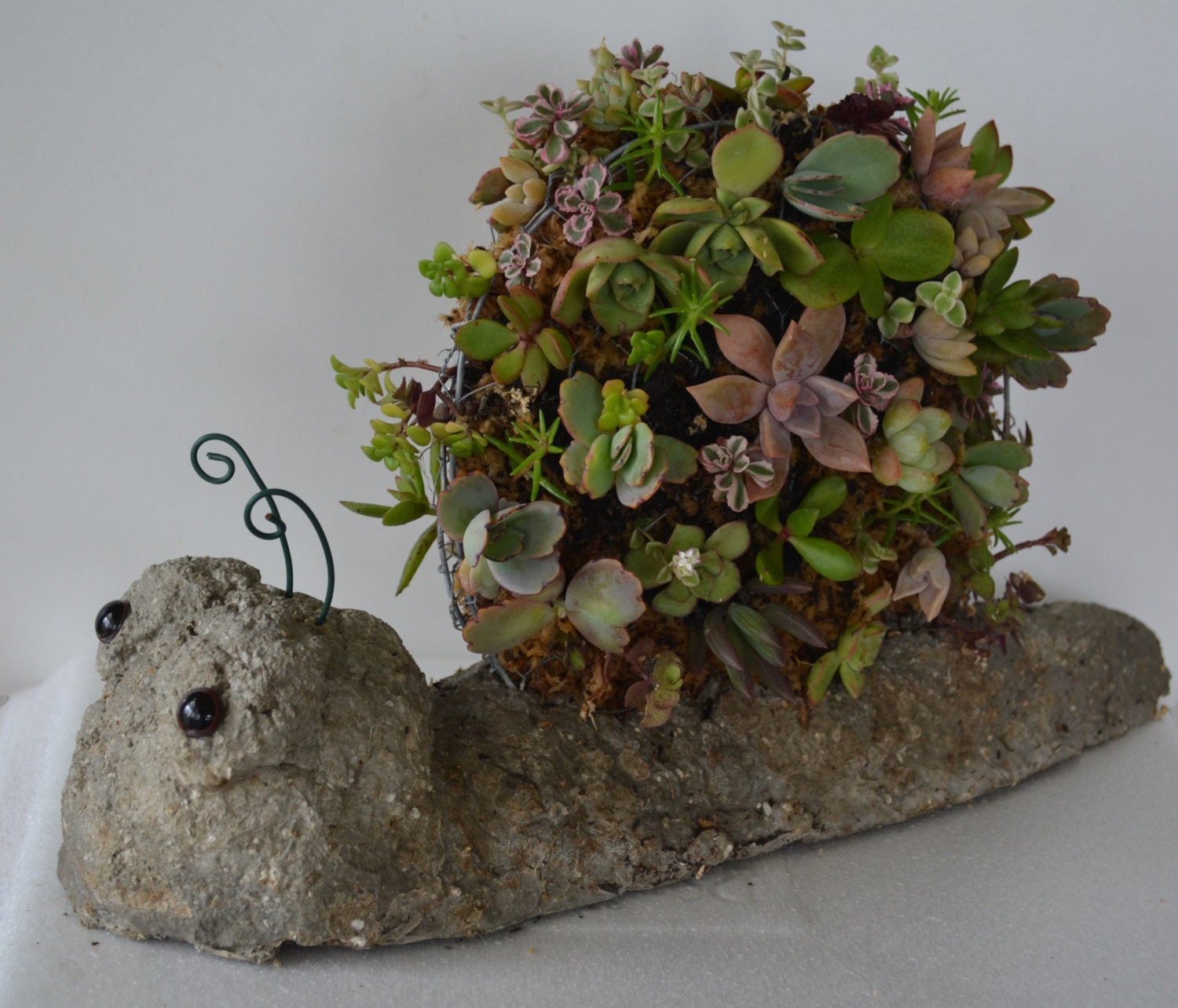 Snail Topiary Hypertufa Succulent Planter by PinkyDinkyDesigns