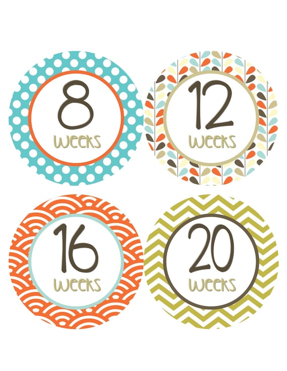 Pregnancy Stickers Weekly Baby Bump by BumpAndBeyondDesigns