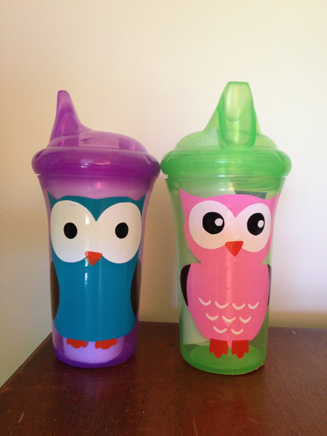 Personalized Sippy Cup with Owl Design 9oz by EBpolkadotsandmore