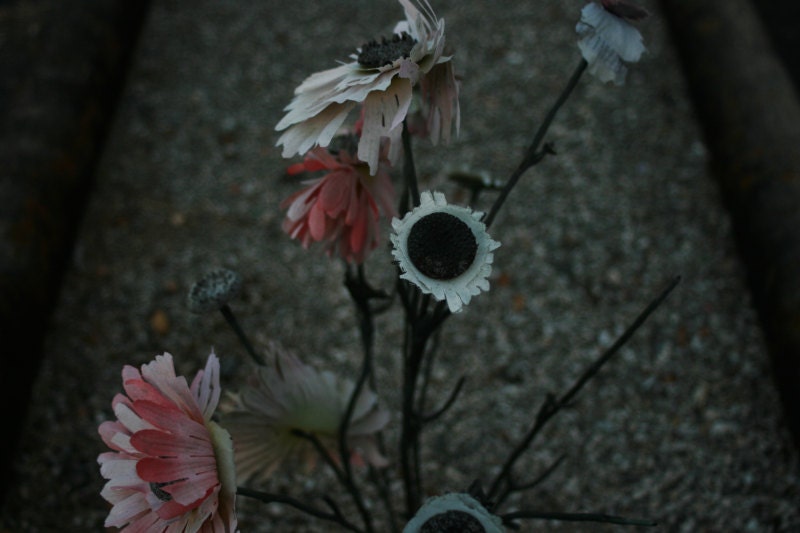 8x12 Print : "Unseen" by Brittanie Pendleton, Nature Cemetery Flowers Closeup Photography - beyourpet
