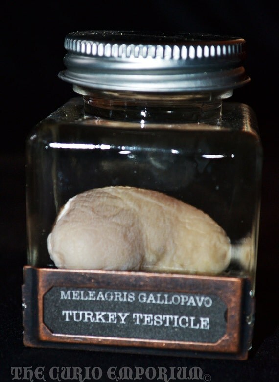 Genuine Turkey Testicle Specimen Jar ODDITIES by TheCurioEmporium