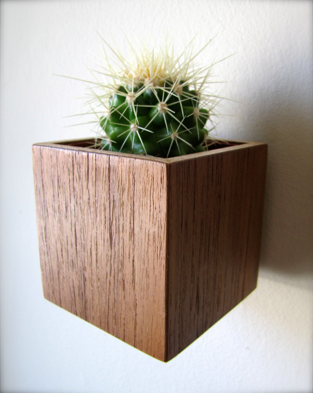 Wall Planter 3 Hanging Planter Plant Holder in by thewoodybeckers