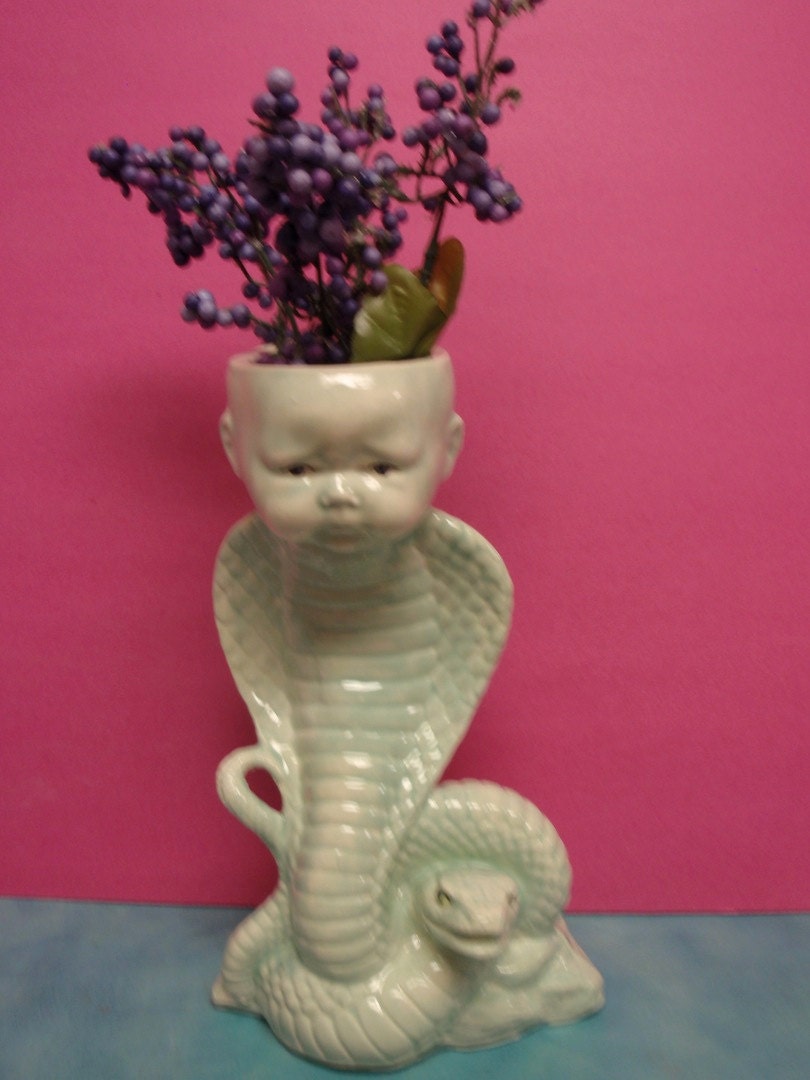 Cobra Baby
