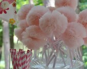 Pink Ballerina Princess Party Pack of 16 Wee Whimsy Wishing Wands, - whimsywendy