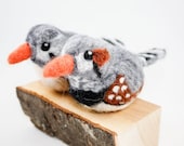 Needle Felted Birds (Zebra Finches)