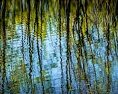 Water Reflections of Trees and Ripples on a Pond in West Michigan
