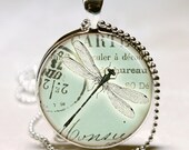 Dragonfly Necklace,  Insect Jewelry, Bugs, Nature, Vintage Postcard Art Pendant with Ball Chain Included