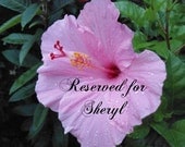 Express Mail - Reserved for Sheryl