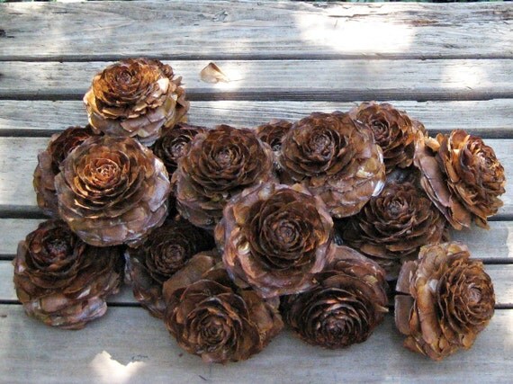 20 Large Cedar Rose Cones Pine Rose DIY Supply by SeasonalBounty